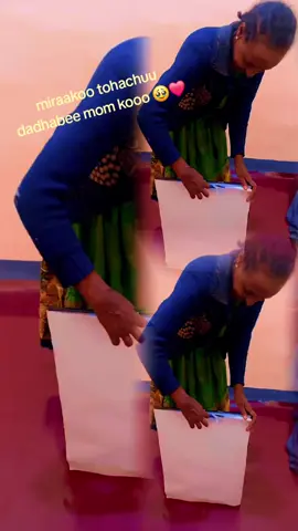 create search insight 