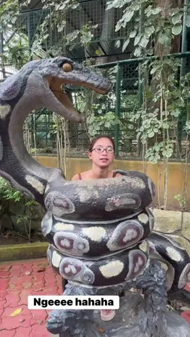 #golive #prityqueen10 