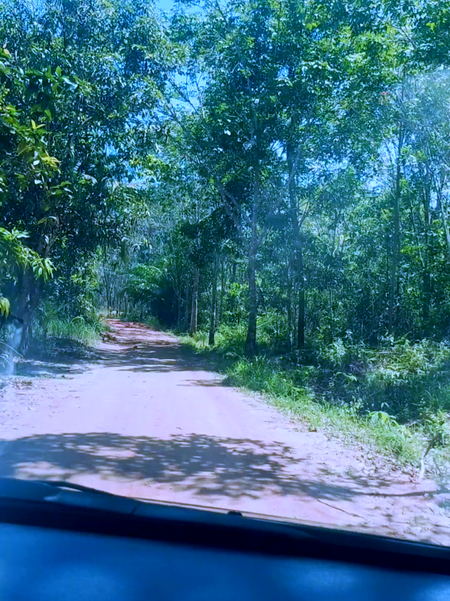 JANGAN SALAHKAN SIAPA#nostalgiamusic #tembangkenangan #nostalgia #jangansalahkansiapa 