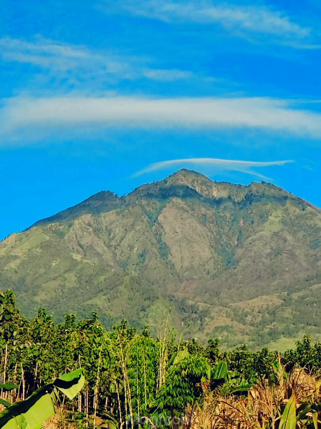 ujung barat desa bangsring,wongsorejo #wongsorejo_banyuwangi #bangsring #naturevideography #withgalaxy #s21ultra 