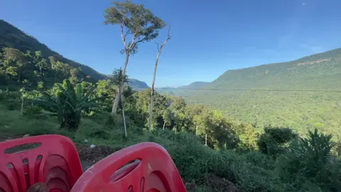 ມີແຕ່ປ່າມີແຕ່ດົງ😂😂