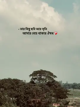 ❤️‍🩹🕊️ -/ তার কিছু ছবি আর সৃতি আমার বেচে থাকার ঔষধ #অনুভূতি #ভালোবাসা #followme #ভালোবাসারমানুষ #সে_আমার_মায়াবতি 