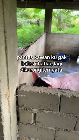 #xybca #foryoupage #4upage #masukberandafyp #moots? 