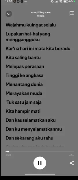 everything you are - hindia#hindia #song #music #spotify #xzyabc 