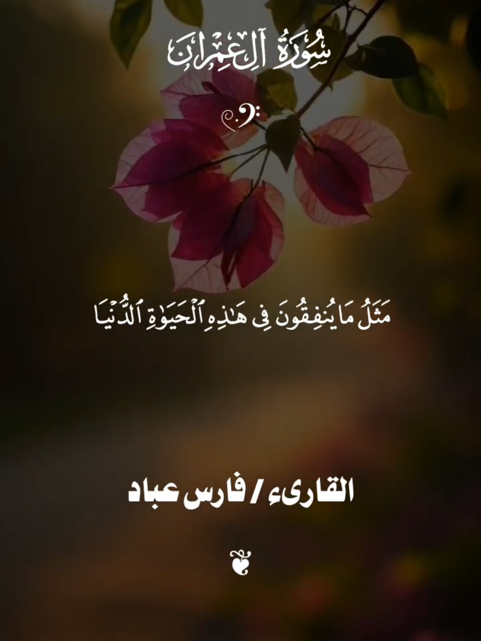 #فارس_عباد #قران #quran 