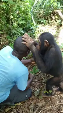 الرقيه  #ضحك_من_قلبك_مع_صادق_العودي🤣 #تعليق_صادق_العودي #الشعب_الصيني_ماله_حل😂😂 