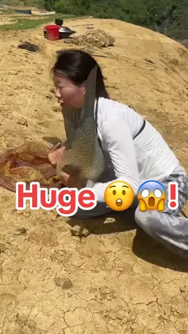 #fishing #funnyvideos #tiktokfishing #bigfish #fishingrod 