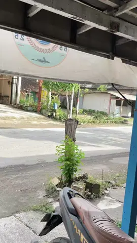 #vixion #vixionindonesia #danapelajar #bjn24jam #fyp 