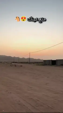 خيل وخيالة #لبنان🇱🇧 #الجزائر🇩🇿 #fyp #خيل_وخياله🐎 #tranding @🐎𝐻𝑜𝓇𝓈𝑒𝓈 𝑔𝒾𝓇𝓁𝓈🐎 