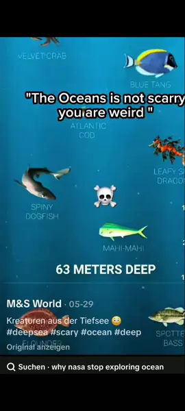 ☠️☠️☠️☠️