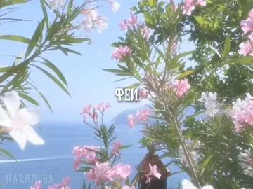 текст на видео мог быть некорректно записан, извините #elbruso #winx #grove #rge #or 