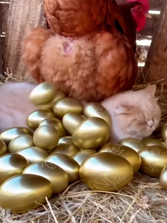 sora 2 invite code  ai Sora 2, sora2videofun ai generated videos sora  #ai #нейросеть #ии  #sora2invitecode #sora2 