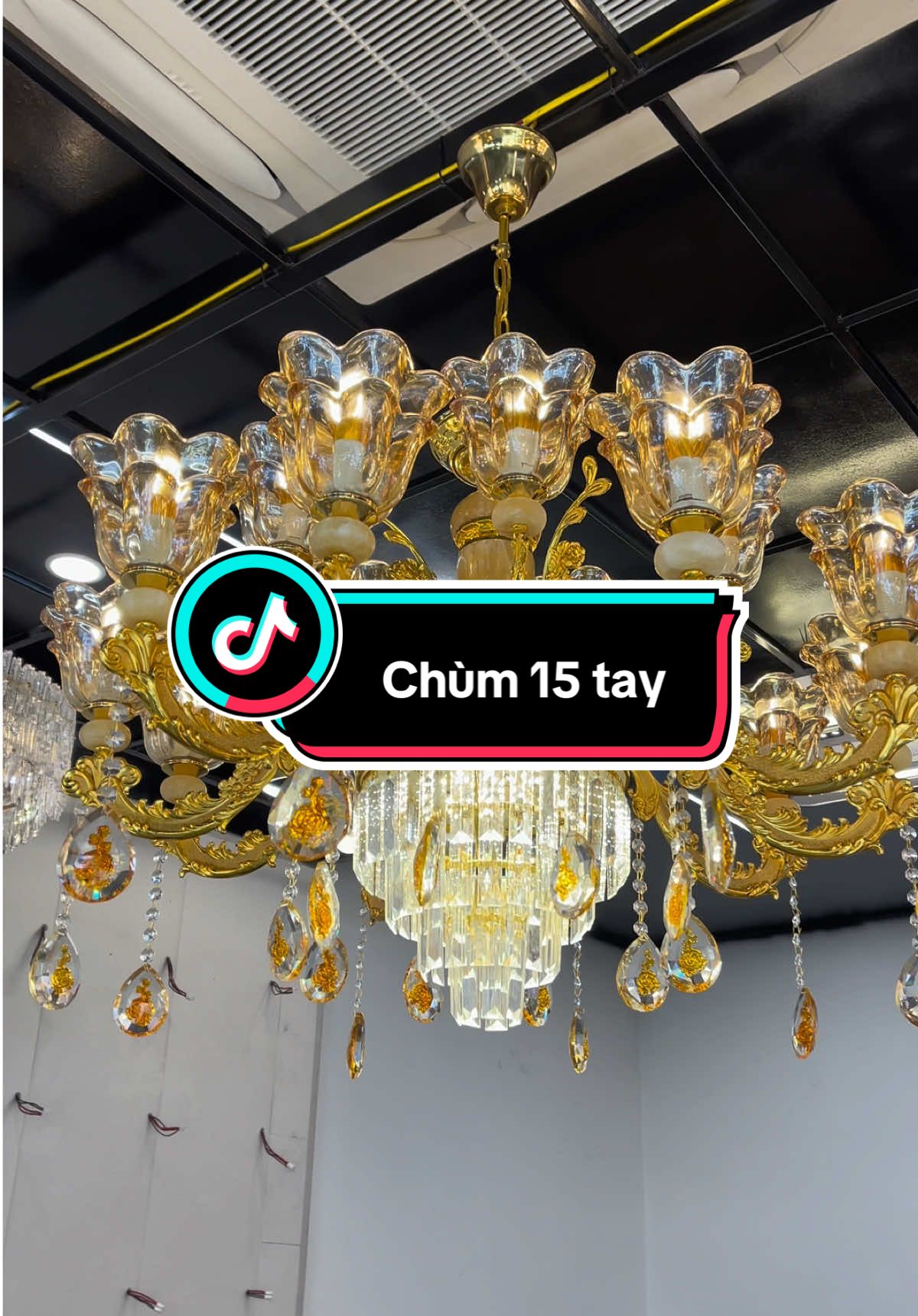 Đèn chùm 15 tay lắp không gian nội thất#dentrangtri #denchum #tanco 
