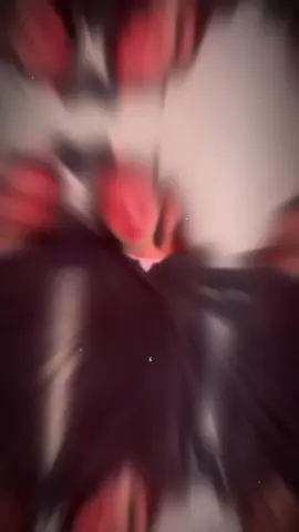 | 2 cổ kh up thì thoi chớ 2 cổ mà ngoi lên là fandum tem thèng chỉ có thở oxi hết chơn=)) #freenbecky #ฟรีนเบค #srchafreen #beckyarmstrong #fyb 