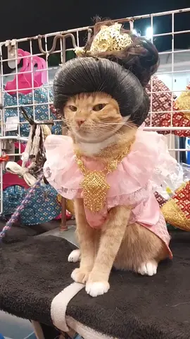 #ရင်တွင်ခံစာချက်လေတွေပါ 