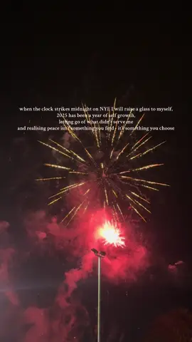 I’ll toast to growth, peace, and becoming the person I needed. 🥂 #nye #careerchange #selfgrowth #selfreflection #trendingvideo 