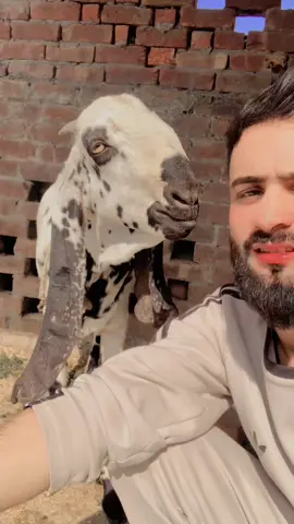 @Syco G #fyppppppppppppppppppppppp #fyppppppppppppppppppppppp 