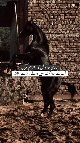 HAN G💀.       #foryoupage #viralditiktok #poetrystatus #lines🔥 #unfreezemyaccount 