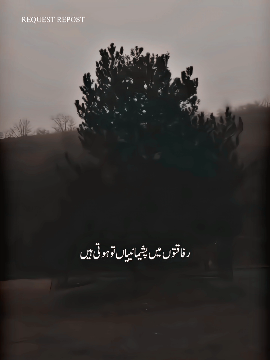 hayeee last line 🤧#ahmedfraz #poetry #sadpoetry #hussninwrites #jaunelia 