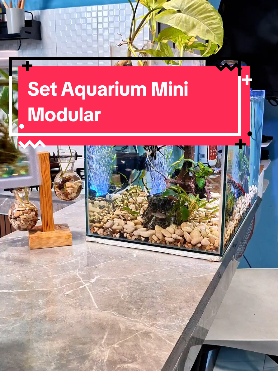 Aquarium Lego nih, mau punya 100 tetep bisa disusun rapi 🤩 #aquariummini #aquarium #cupang #ikanhias #murah 