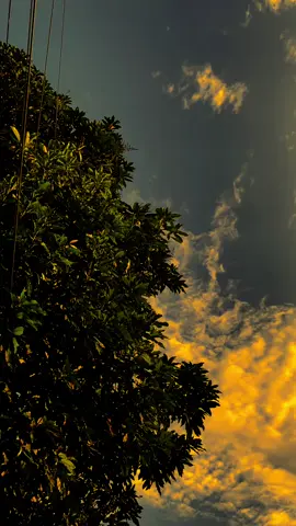 Berhentilah menyukainya jika kamu sudah tahu,bahwa dia memiliki orang lain yang sangat dia cintai #katakata #quotes 