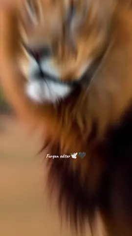 #CapCut #newtrend #foryou #unfreezemyaccount #hadees 