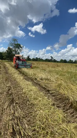 สู้บ่ถอยครับ รถเยอะมากปีนี้#นันทวุฒิรุ่งเรืองการค้า #ทีเด็ดเสี่ยตี๋ #จบที่เราเบาที่สุด #dc93บ้าพลัง🌾 #dc93ขยายปาก105