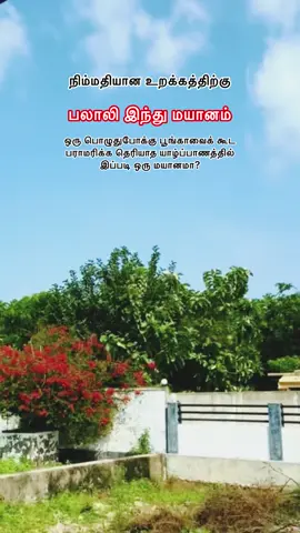 #பலாலி #இந்து #மயானம் #palaly 