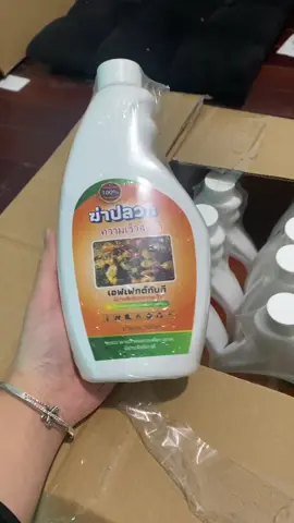 #xuhuong #hottrend #dietmoithailan diệt mối thái lan loại bỏ mối mọt ăn lên đồ nội thất trong nhà