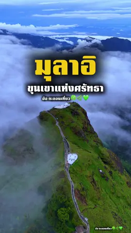 ฤดูกาลเปิดให้เข้าชมแล้ว กับวิวบรรยากาศมุลาอิ 360 องศา อัพเดท ล่าสุด 9 พฤศจิกายน  2568 มุลาอิ ขุนเขาแห่งศรัทธา #มุลาอิ #มุลาอิขุนเขาแห่งศรัทธา #มุลาอิขุนเขาแห่งศรัทธา🇲🇲 #ยินดีที่ได้เจอ @#ยินดีที่ได้เจอ🌳