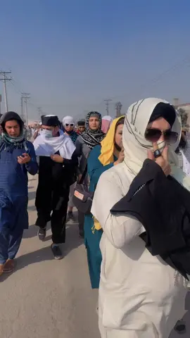 #plzunfrezemyaccount 