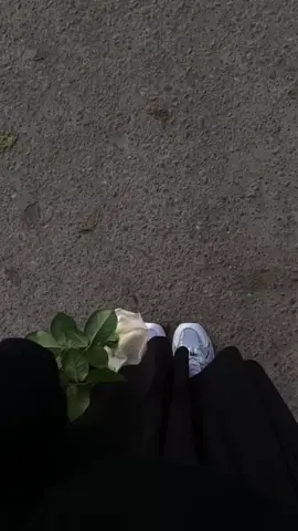 اي والله 🤍