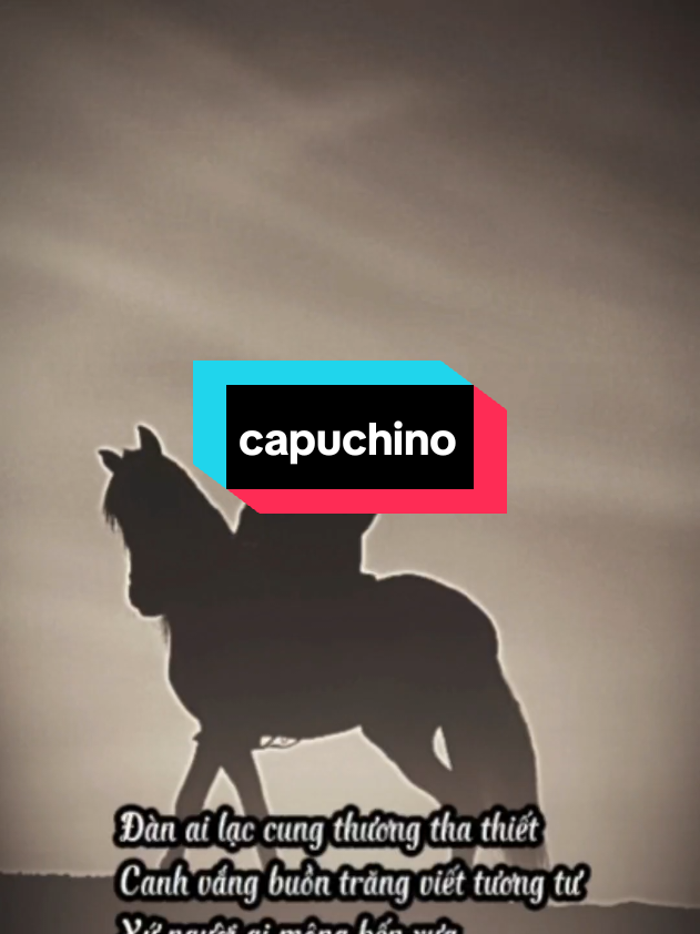 Đàn ai lạc cung thương tha thiết Canh vắng buồn trăng viết tương tư Xứ người ai mộng bến xưa Lệ nhòa se sắt vần thơ u sầu. #thobuon #thotamtrang #thohay♥️ #mưa @capuchino 