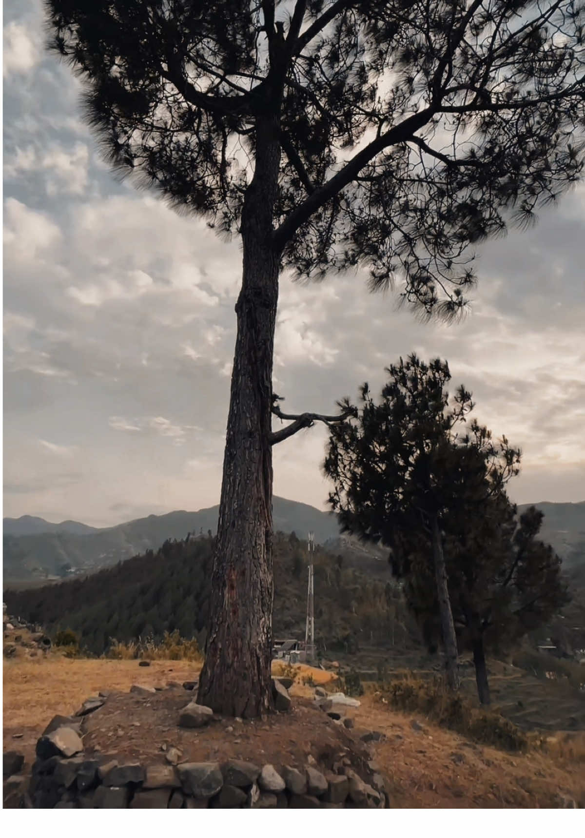 د دومره مینی اوخلوص با وجود مونږه د چا په زړه کښی کور ونه کو 🥹❤️‍🩹#zaryalkhan #poshtopoetry💔🥀💯 #for_you_page #viral_video_tiktok #CapCut 