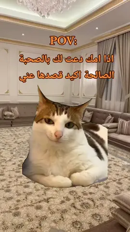 هذا شيء اكيد 😂🤍 #بدون_موسيقى #pov #Meme #MemeCut #CapCut 