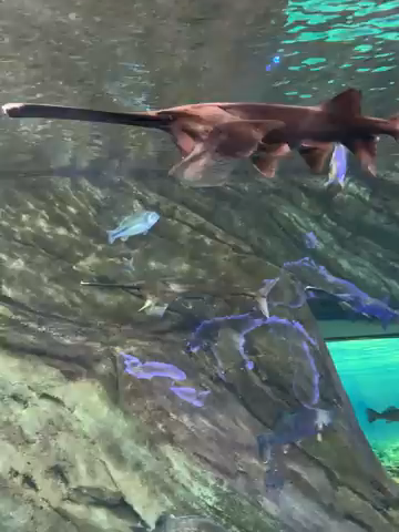 Đam mê cũng là một sở thích