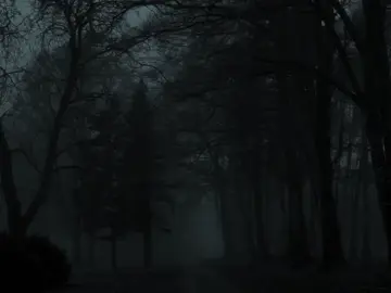 تچَيـني الـفـرحَـه شَتـشـوف🎧💔.! . . #باسم_الكربلائي  #قصائد #بنت_عَلي🗽 #quran  #dancewithpubgm 