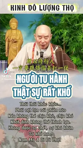 #nammoadidaphat #nammobonsuthichcamauniphat #nammoquantheambotat #nammodaithechibotat #nammodiatangvuongbotat 