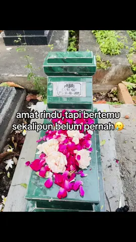 ketemunya cuma di mimpi🥹, disclaimer untuk tgl 16-2-2025 itu dibangun nisan yg baru ya guys☺️,dan untuk tahun 1997 itu lahir dan meninggalnya,knpa kok 1997? karna kakaku belum sempat lahir tapi sudah diambil kembali🙂.#fyp #xybca #makam #kakak #surga 