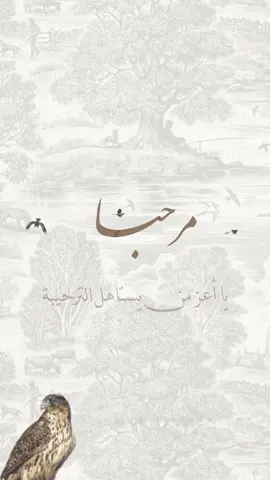 #بشارة_مولود#حلالكم#بشارة_من_العمه#بشارة_مولود_اخوي#الشعب_الصيني_ماله_حل😂😂