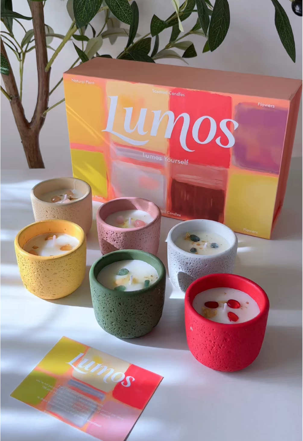 Lumos 6pcs. Scented Candles / Christmas Gift Set ✨ #scentedcandle #candlegifts #giftideas #chrismasgifts 