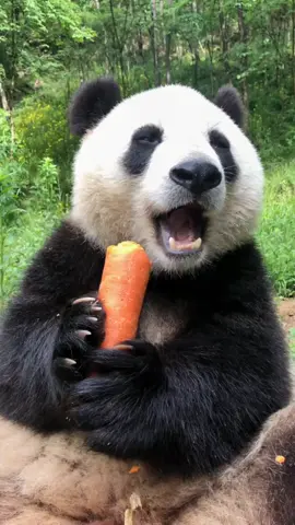 #포스팅으로득템 