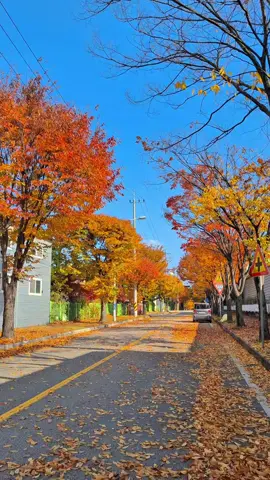 indah banget yaa, seindah senyuman diaa🍂🍁#gtogkoreaselatan🇲🇨🇰🇷 #lpkkencanajember🇮🇩🇰🇷 #jember24jam #pejuangwon🇰🇷🇲🇨 #pmikorea🇮🇩♡🇰🇷 