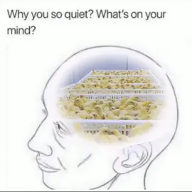 Everyone thinking of self employment 😀. #poultry #Radvan 