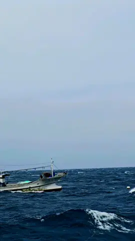 JUJANGMANG #fypシ #tkikorea🇰🇷🇮🇩 #pmikorea🇮🇩♡🇰🇷 #indonesiakorea🇮🇩🇰🇷 #