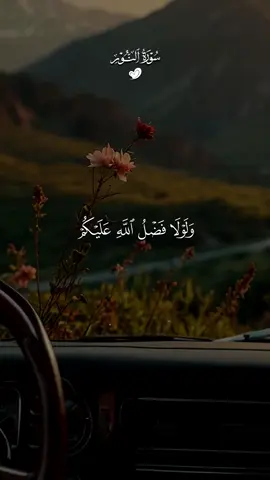 قران كريم #قران_كريم #اعادة_النشر🔃 