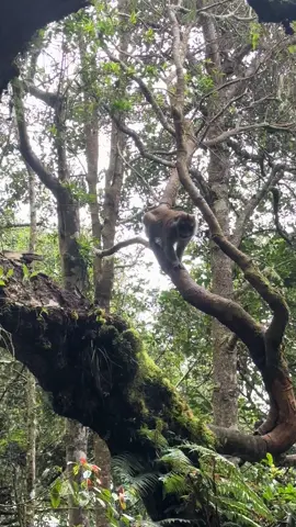 Tinikaran campsite at Mt. Apo🥰