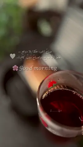 #اكسبلور #explore 🤍🕊️