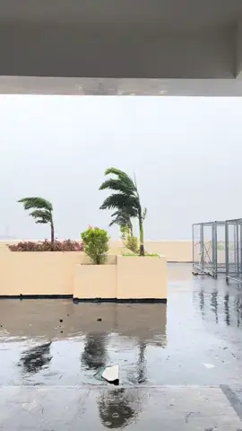 📍Naga City at 3:30pm, November 9, 2025 . . . . . . . . #fyp #fyppppppppppppppppppppppp #typhoonuwan #camarinessur #foryou 