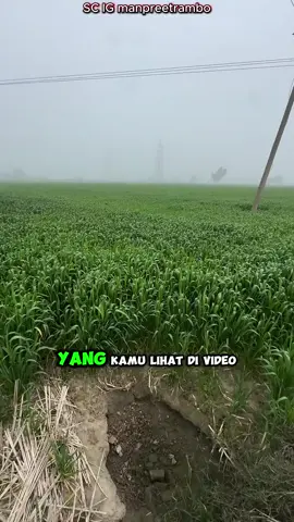 Beginilah Cara Kerja Katup Irigasi Tradisional!